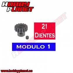 PIÑON MODULO 1 - 21T